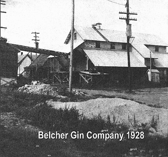 Belcher Gin Company